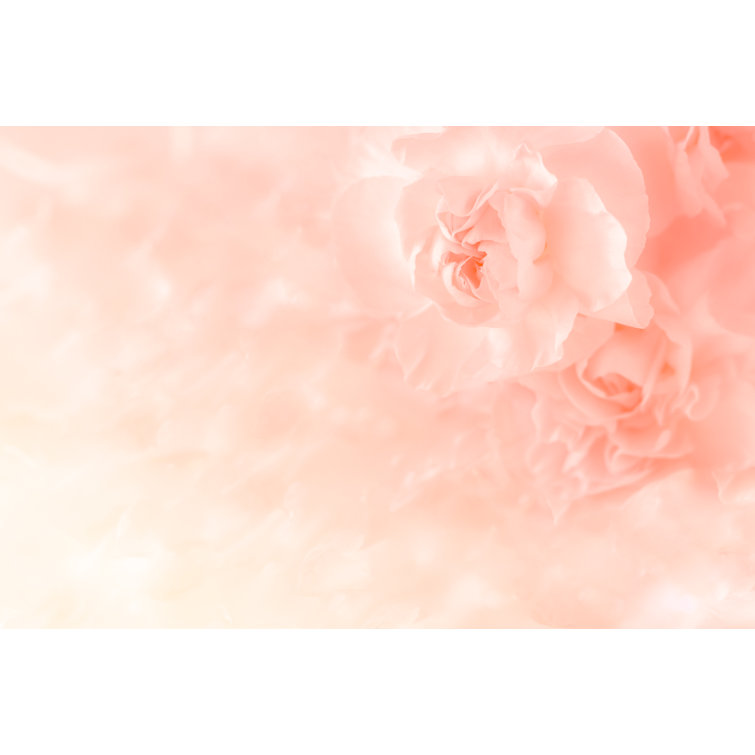 Canora Grey Pink Carnation Flowers Wrapped Canvas Photograph